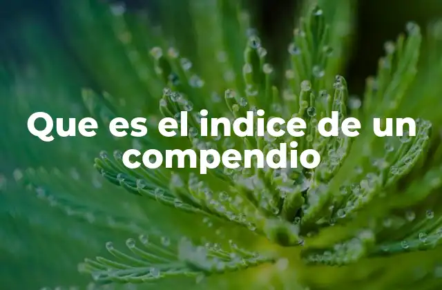 Que es el Indice de un Compendio