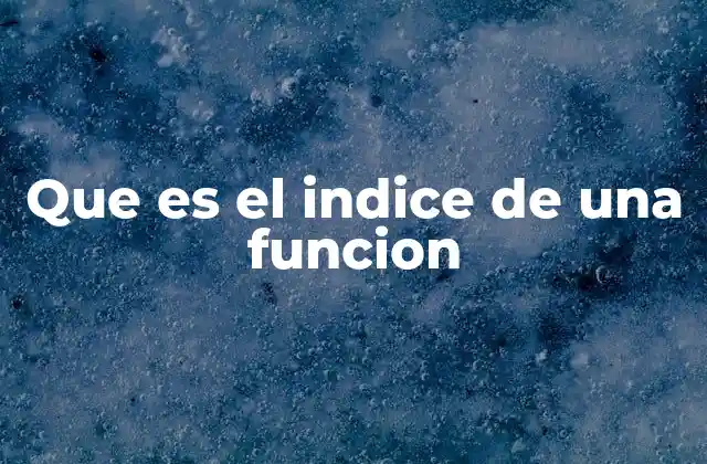 Que es el Indice de una Funcion