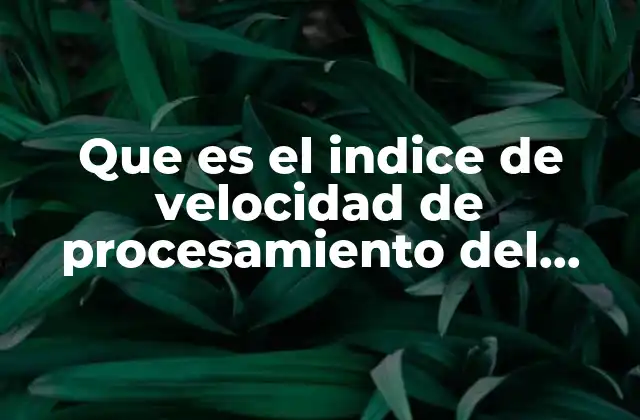 Que es el Indice de Velocidad de Procesamiento Del Wisc
