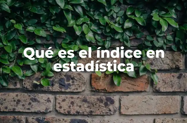 Qué es el Índice en Estadística