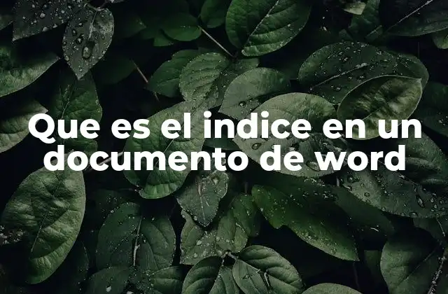 Que es el Indice en un Documento de Word