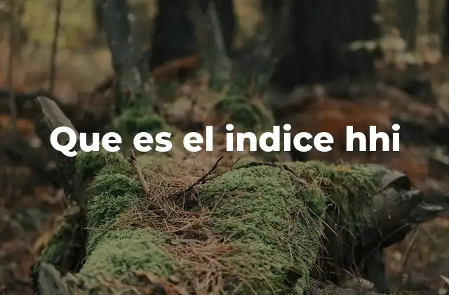 Que es el Indice Hhi