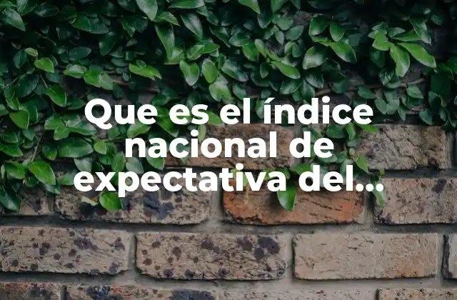 Que es el Índice Nacional de Expectativa Del Consumidor 2 ¿Cómo se relaciona la confianza del consumidor con la economía?