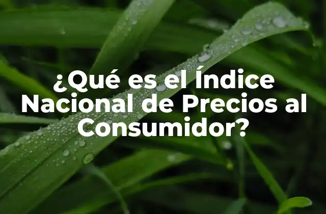 ¿qué es el Índice Nacional de Precios Al Consumidor?