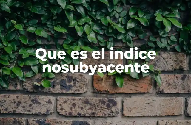 Que es el Indice Nosubyacente