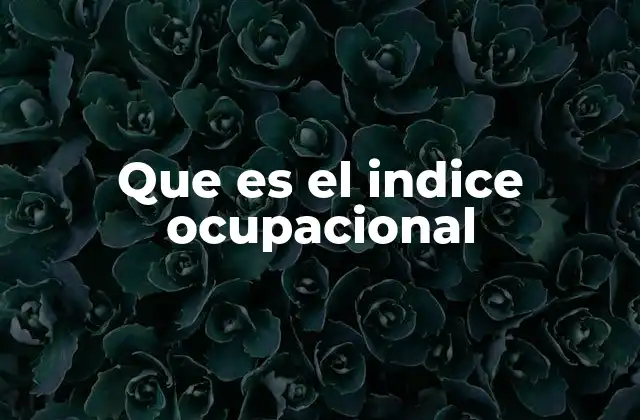 Que es el Indice Ocupacional