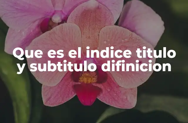 Que es el Indice Titulo y Subtitulo Difinicion