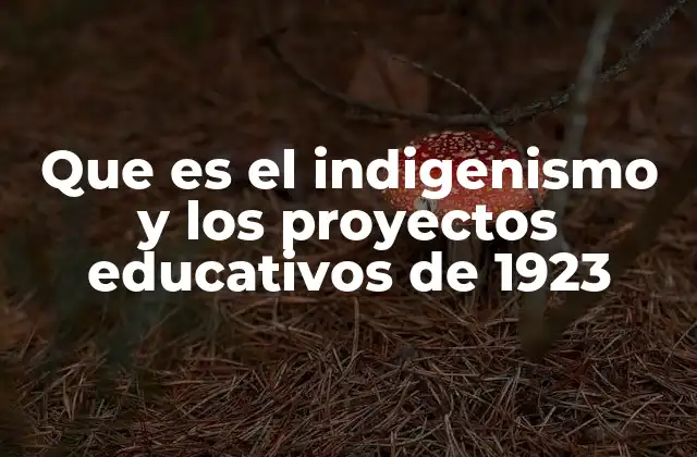 Que es el Indigenismo y los Proyectos Educativos de 1923