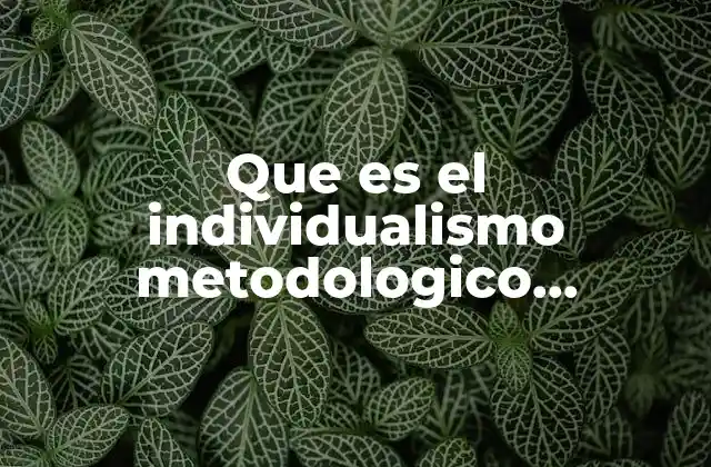 Que es el Individualismo Metodologico Documentos 2 El enfoque individualista en la ciencia social