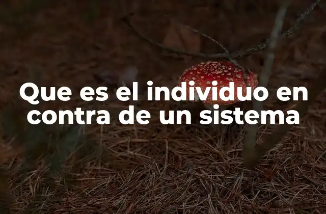 Que es el Individuo en contra de un Sistema