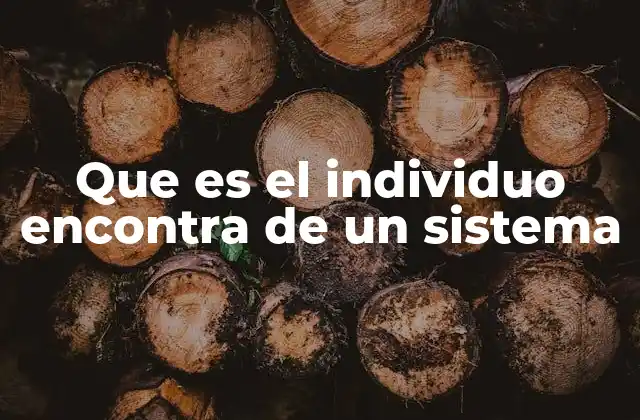 Que es el Individuo Encontra de un Sistema