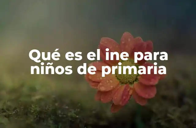 Qué es el Ine para Niños de Primaria