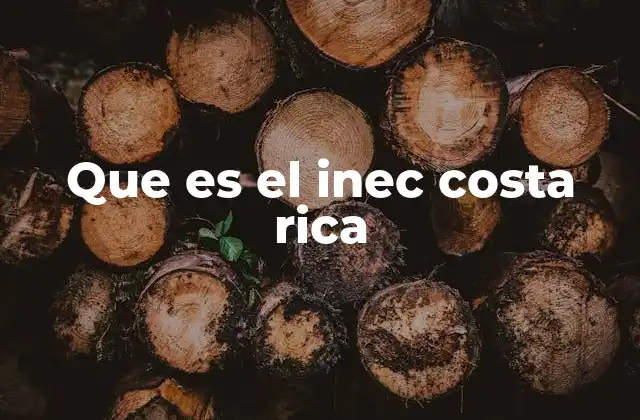 Que es el Inec Costa Rica 2 El rol del INEC en el desarrollo económico y social de Costa Rica