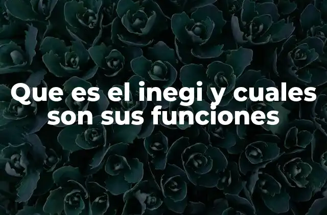 El papel del INEGI en la toma de decisiones públicas