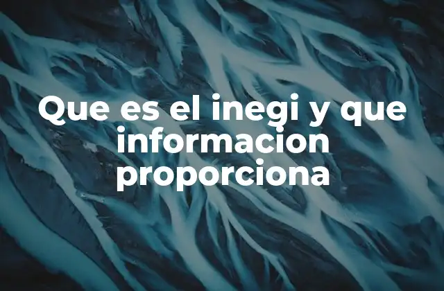 La importancia de la estadística oficial en la toma de decisiones