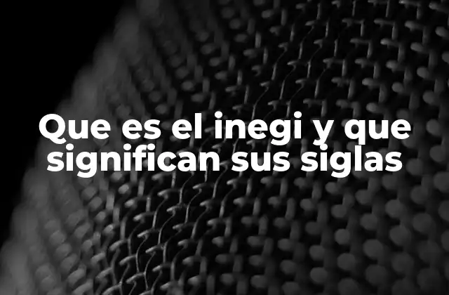 Que es el Inegi y que Significan Sus Siglas