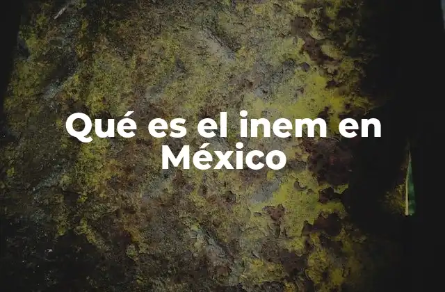 Qué es el Inem en México