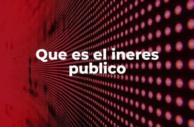 Que es el Ineres Publico