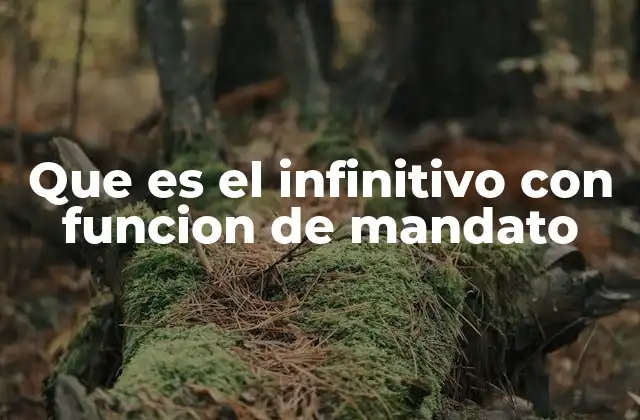 Que es el Infinitivo con Funcion de Mandato