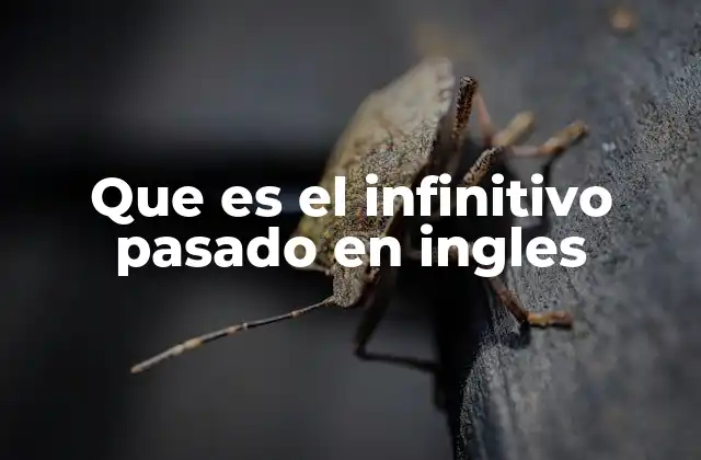Que es el Infinitivo Pasado en Ingles
