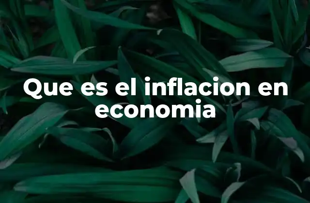 Que es el Inflacion en Economia