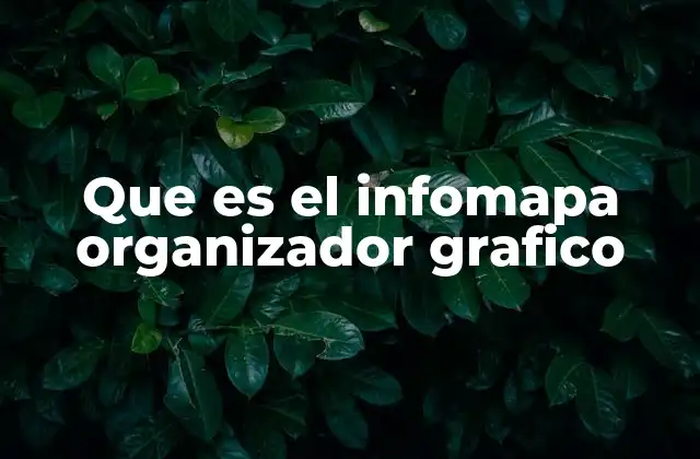 Que es el Infomapa Organizador Grafico