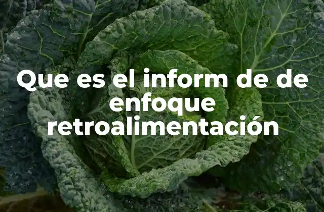 Que es el Inform de de Enfoque Retroalimentación
