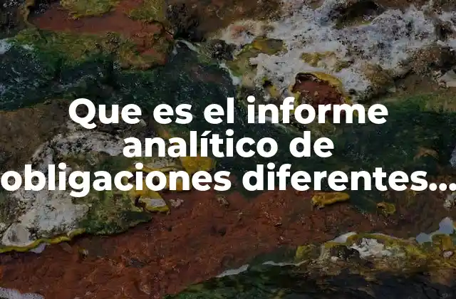 Que es el Informe Analítico de Obligaciones Diferentes de Financiamientos