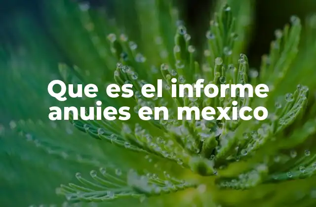 Que es el Informe Anuies en Mexico