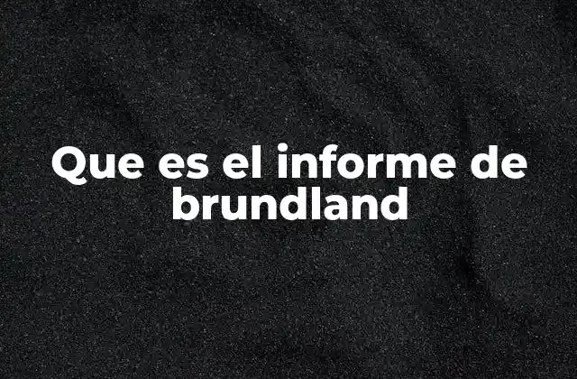 Que es el Informe de Brundland