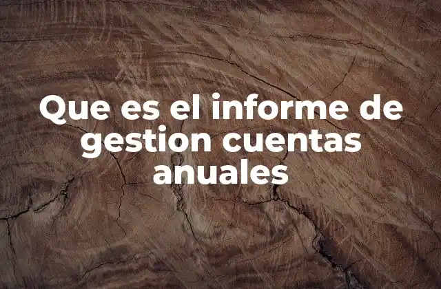 Que es el Informe de Gestion Cuentas Anuales