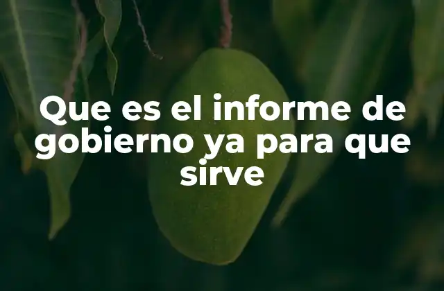 Que es el Informe de Gobierno Ya para que Sirve 2 La importancia del informe de gobierno en la democracia