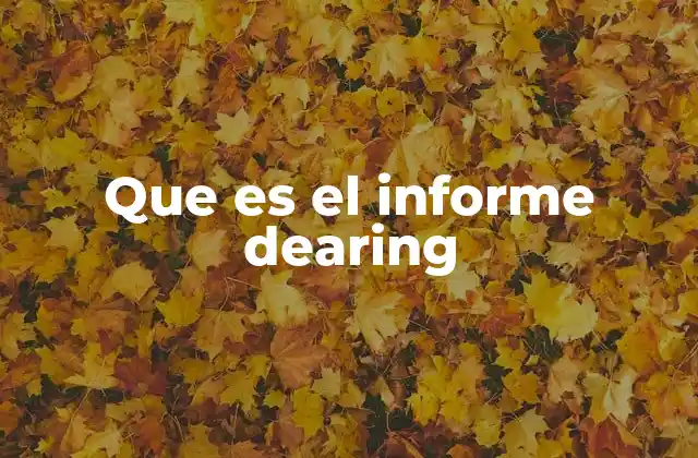 Que es el Informe Dearing