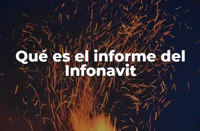 Qué es el Informe Del Infonavit