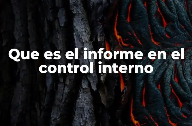 La importancia del control interno en el gobierno corporativo