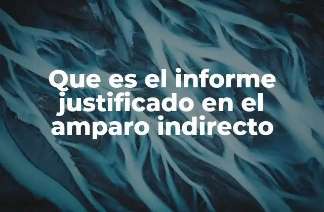 Que es el Informe Justificado en el Amparo Indirecto 2 El papel del informe justificado en el procedimiento de amparo