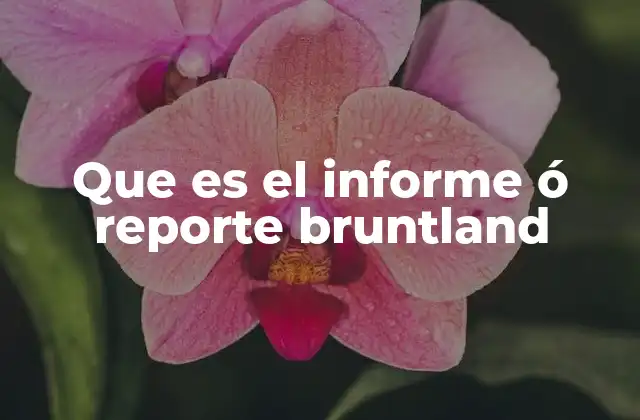 Que es el Informe Ó Reporte Bruntland