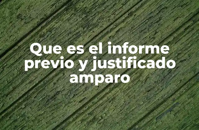 La importancia del informe previo en el amparo judicial