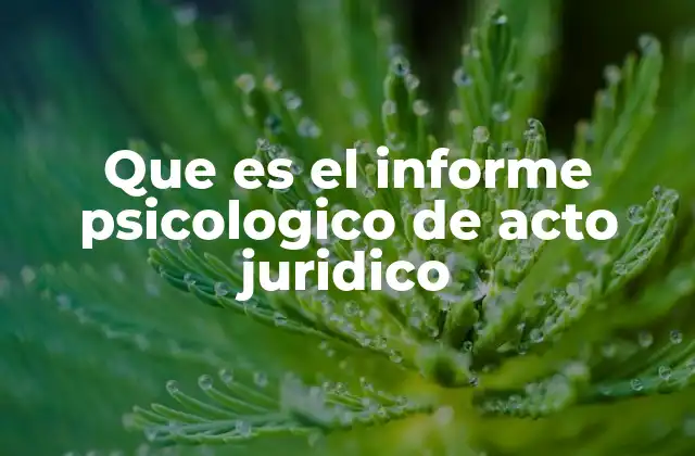Que es el Informe Psicologico de Acto Juridico