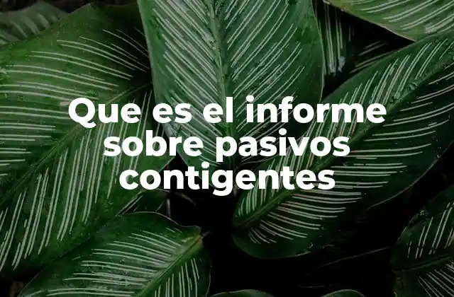 Que es el Informe sobre Pasivos Contigentes