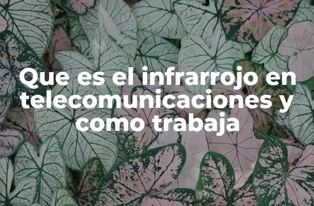 Que es el Infrarrojo en Telecomunicaciones y como Trabaja