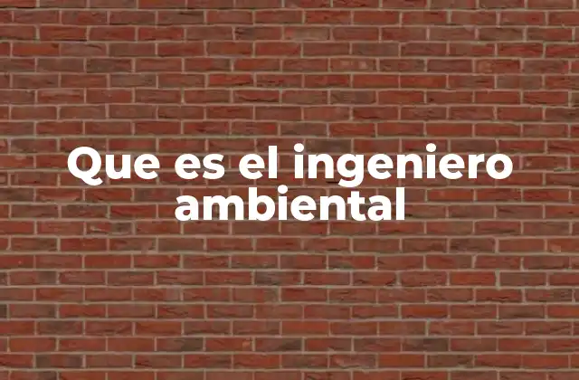 Que es el Ingeniero Ambiental
