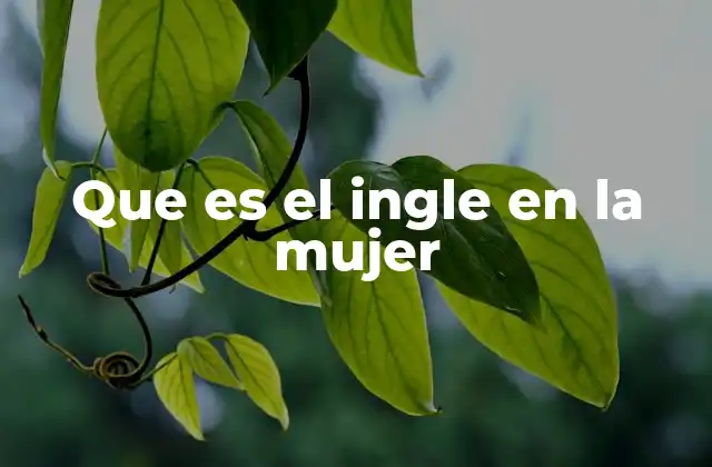 Que es el Ingle en la Mujer 2 La importancia de entender la anatomía femenina en la región del ingle