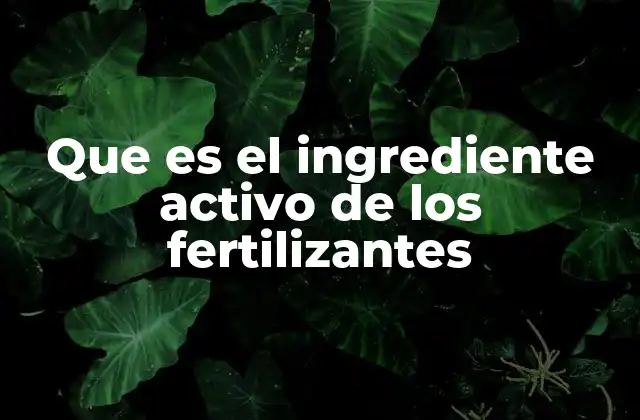 Que es el Ingrediente Activo de los Fertilizantes 2 La importancia de los nutrientes en los fertilizantes