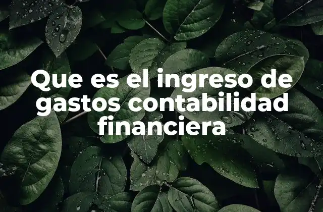 Que es el Ingreso de Gastos Contabilidad Financiera