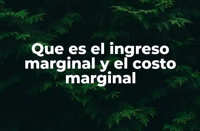 Que es el Ingreso Marginal y el Costo Marginal