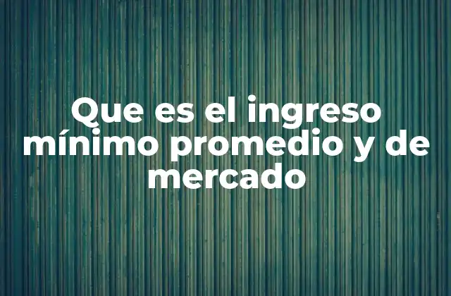 Que es el Ingreso Mínimo Promedio y de Mercado