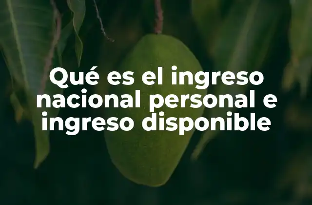 Qué es el Ingreso Nacional Personal e Ingreso Disponible