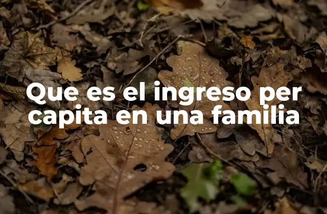 Que es el Ingreso Per Capita en una Familia
