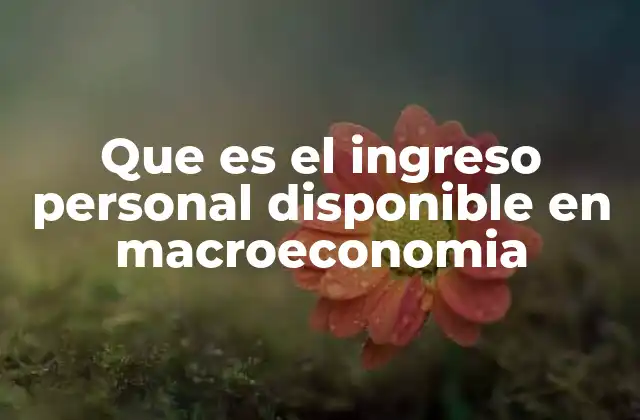 Que es el Ingreso Personal Disponible en Macroeconomia